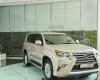 Lexus GX460  4.6L AT 2017 - Lexus Trung Tâm Sài Gòn cần bán xe Lexus GX460 4.6L AT sản xuất 2017, xe nhập