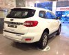 Ford Everest 2.2L 4x2 Titanium AT 2017 - Xe Ford Everest Titanium 2.2L nhập khẩu Thái Lan giá rẻ, hỗ trợ trả góp 80% tại Điện Biên