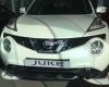Nissan Juke 2017 - Bán Nissan Juke đời 2017, nhập khẩu