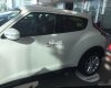 Nissan Juke 2017 - Bán Nissan Juke đời 2017, nhập khẩu