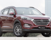 Hyundai Tucson 2016 - Bán xe Hyundai Tucson đời 2016 màu trắng, 1 tỷ 025 triệu, xe nhập