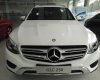 Mercedes-Benz GLC 250 4 Matic 2017 - Bán Mercedes GLC250 4 Matic đời 2017, màu trắng, nội thất nâu, xe giao ngay