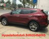 Hyundai Santa Fe 2017 - Bán ô tô Hyundai Santa Fe năm 2017, màu trắng