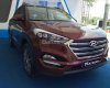 Hyundai Tucson 2.0 AT 2017 - [Bình Thuận] Cần bán Hyundai Tucson 2017 Full, nhập khẩu, giá tốt nhất thị trường, LH 01202.7876.91