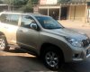 Toyota Prado 2010 - Cần bán xe Toyota Prado đời 2010, màu vàng, xe nhập