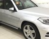 Mercedes-Benz GLK 2012 -  Bán Mercedes GLK300 AMG đời 2012, màu xám bạc