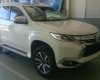 Mitsubishi Pajero Sport GLS AT 4x4 2017 - Bán Mitsubishi Pajero Sport GLS AT 4x4 đời 2017, nhập khẩu giá hủy diệt, có trả góp - 0906.884.030