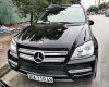 Mercedes-Benz GL450 LT  2011 - Bán ô tô Mercedes GL450 LT sản xuất 2011, màu đen, nhập khẩu nguyên chiếc