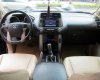 Toyota Prado 2011 - Bán xe Toyota Prado TX-L 2011