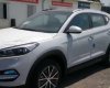 Hyundai Tucson 2017 - Cần bán xe Hyundai Tucson đời 2017, màu trắng, nhập khẩu, 960 triệu