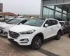 Hyundai Tucson 2017 - Cần bán xe Hyundai Tucson đời 2017, màu trắng, nhập khẩu, 960 triệu