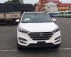 Hyundai Tucson 2017 - Cần bán xe Hyundai Tucson đời 2017, màu trắng, nhập khẩu, 960 triệu