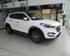 Hyundai Tucson 2017 - Cần bán xe Hyundai Tucson đời 2017, màu trắng, nhập khẩu, 960 triệu