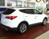 Hyundai Santa Fe 2017 - Hyundai Santa Fe máy dầu bản đặc biệt sản xuất 2017, giao xe ngay, màu trắng, hỗ trợ mua trả góp đến 80% giá trị xe