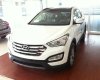 Hyundai Santa Fe 2017 - Hyundai Santa Fe máy dầu bản đặc biệt sản xuất 2017, giao xe ngay, màu trắng, hỗ trợ mua trả góp đến 80% giá trị xe
