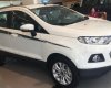 Ford EcoSport  Trend MT 2017 - Bán Ford EcoSport năm 2018, ưu đãi khủng - LH: Mrs Lam 0915445535