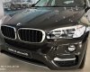 BMW X6 2017 - BMW X6 hoàn toàn mới, màu lạ mắt