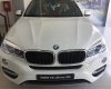 BMW X6 2017 - BMW Đà Nẵng bán BMW X6, chính hãng, ưu đãi lớn cùng phí trước bạ và quà tặng