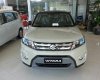 Suzuki Vitara 2017 - Bán Suzuki Vitara đời 2017, nhập khẩu châu Âu, giá cạnh tranh