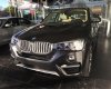 BMW X4 xDrive20i 2017 - Bán xe BMW X4 xDrive20i sản xuất 2017, màu xám (ghi), xe nhập, giá rẻ nhất, giao ngay