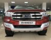 Ford Everest 2.2L 4x2 Titanium AT 2017 - Ford Ninh Bình - Bán Everest Titanium 2.2L, hỗ trợ trả góp 80%, giảm giá sâu nhất