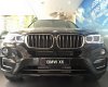 BMW X6 xDrive35i 2017 - Bán BMW X6 xDrive35i 2017, màu nâu, nhập khẩu, ưu đãi giá cực sốc