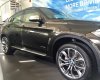 BMW X6 xDrive35i 2017 - Bán BMW X6 xDrive35i 2017, màu nâu, nhập khẩu, ưu đãi giá cực sốc