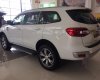 Ford Everest 2.2L 4x2 Titanium AT 2017 - Bán xe Ford Everest 2.2L 4x2 Titanium AT 2017, nhập khẩu nguyên chiếc