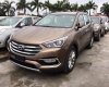 Hyundai Santa Fe   2017 - Bán xe Hyundai Santa Fe đời 2017, màu nâu