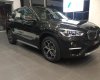 BMW X1 sDrive18i 2017 - Bán ô tô BMW X1 sDrive18i 2017, màu nâu, nhập khẩu chính hãng