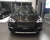 BMW X1 sDrive18i 2017 - Bán ô tô BMW X1 sDrive18i 2017, màu nâu, nhập khẩu chính hãng