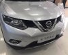 Nissan X trail   2.0 SL  2016 - Cần bán xe Nissan X trail 2.0 SL 2WD đời 2016, màu bạc