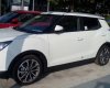 Ssangyong Ssangyong khác 2016 - Bán ô tô Ssangyong Ssangyong khác đời 2016, màu trắng, nhập khẩu chính hãng giá cạnh tranh