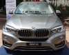 BMW X6 35i 2017 - BMW X6 35i xDrive - Màu bạc duy nhất tại Việt Nam thời điểm này