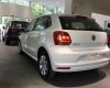 Volkswagen Polo    2016 - Polo Hatchback - nhập khẩu Châu Âu - Giao xe tận nhà - Quang Long 0933 689 294