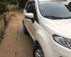 Ford EcoSport   Titanium 2015 - Chính chủ bán Ford EcoSport Titanium đời 2015, màu trắng, 565tr