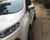Ford EcoSport Titanium 2015 - Cần bán xe Ford EcoSport Titanium sản xuất 2015, màu trắng