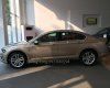 Volkswagen Passat GP 2016 - Cần bán Volkswagen Passat GP sản xuất 2016, màu kem (be), nhập khẩu nguyên chiếc