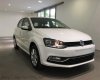 Volkswagen Polo 2016 - Cần bán Volkswagen Polo Hatchback 2016 mới 100% nhập chính hãng - đối thủ của Yaris, Focus - Quang Long 0933689294