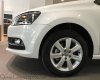 Volkswagen Polo 2016 - Cần bán Volkswagen Polo Hatchback 2016 mới 100% nhập chính hãng - đối thủ của Yaris, Focus - Quang Long 0933689294