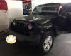 Jeep Wrangler Rubicon. 2010 - Bán Jeep Wrangler Rubicon năm 2010, màu đen, xe nhập 