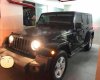 Jeep Wrangler Rubicon. 2010 - Bán Jeep Wrangler Rubicon năm 2010, màu đen, xe nhập 