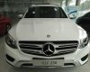 Mercedes-Benz GLC 250 2016 - Cần bán xe Mercedes 250 năm 2016, nhập khẩu chính hãng