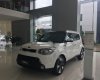 Kia Soul 2.0 2014 - Kia Bình Định bán xe Kia Soul 2.0 2014, màu trắng, nhập khẩu, giá tốt