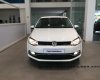 Volkswagen Polo 2016 - Cần bán xe Volkswagen Polo đời 2016, nhập khẩu chính hãng
