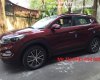 Hyundai Tucson 2017 - Bán xe Hyundai Tucson đời 2017, nhập khẩu