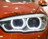 BMW 1 Series 118i 2016 - BMW 118i, phân phối chính hãng miền Trung, ưu đãi lớn dịp hè 2017
