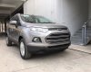 Ford EcoSport Titanium Black 1.5L AT 2017 - Mua xe Ford Ecosport đời 2017 chính hãng, hỗ trợ trả góp thủ tục nhanh gọn tại Cao Bằng