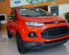 Ford EcoSport Titanium Black 1.5L AT 2017 - Mua xe Ford Ecosport đời 2017 chính hãng, hỗ trợ trả góp thủ tục nhanh gọn tại Cao Bằng