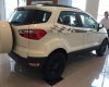 Ford EcoSport Titanium Black 1.5L AT 2017 - Mua xe Ford Ecosport đời 2017 chính hãng, hỗ trợ trả góp thủ tục nhanh gọn tại Cao Bằng